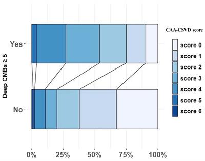 The association between hypertensive angiopathy and cerebral amyloid angiopathy in primary intracerebral hemorrhage